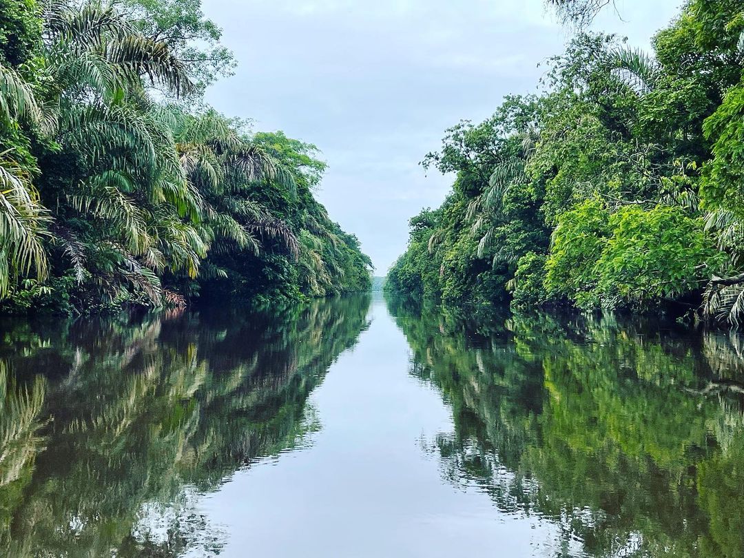 Conocé El Refugio De Vida Silvestre Barra Del Colorado - Vamos A Turistear